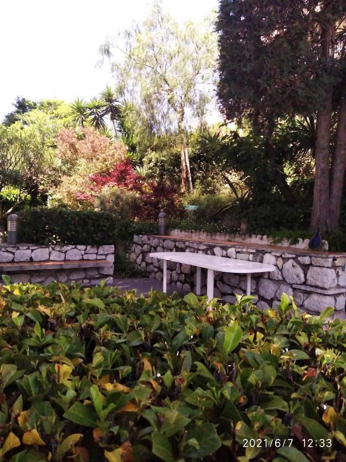 Nice- Gairaut - Jardin Prive- Grand F1 Lumineux-Piscine Collective Kültér fotó